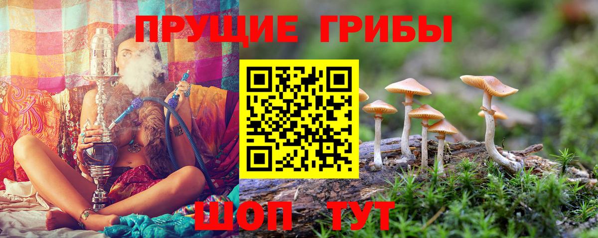 Галлюциногенные грибы Psilocybe  Вход с VPN  Химки  Галлюциногенные грибы мицелий 